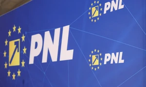 INSTANT PNL DECLARATII 03 INQUAM Photos Octav Ganea jpg