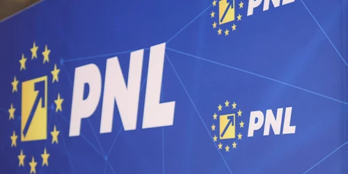 INSTANT PNL DECLARATII 03 INQUAM Photos Octav Ganea jpg