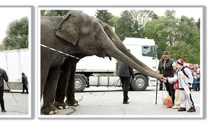 4 act circ 3 1col jpeg