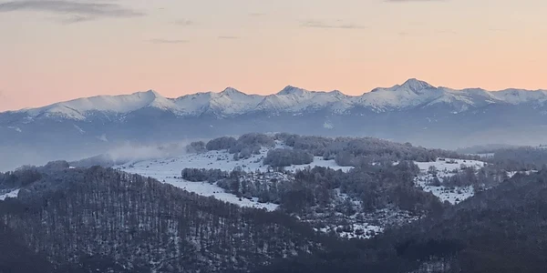 Poiana Răchițelii, Ținutul Pădurenilor  Foto Daniel Guță ADEVĂRUL (72) jpg