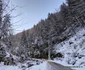 Cheile Jiețului din Hunedoara Foto Daniel Guță ADEVĂRUL (9) jpg