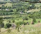 sangeorz bai 2