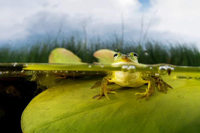 Un colţ de natură FOTO Magnus
Lundgren
