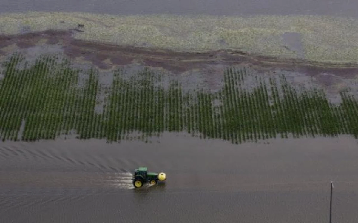 Peste 1.400 de hectare de teren agricol se află sub ape