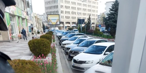 la lurat de lalaele Pitesti