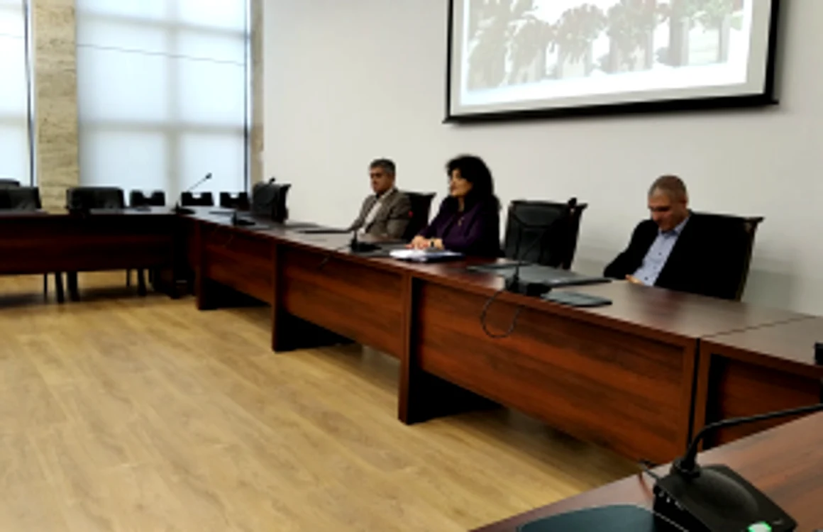 Conferinţa de presă organizată de prefectul Carmen Ichim