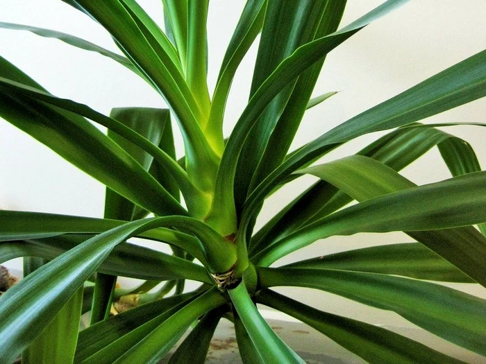 
    Foto pexels.com/pixabay.comrofimedia  