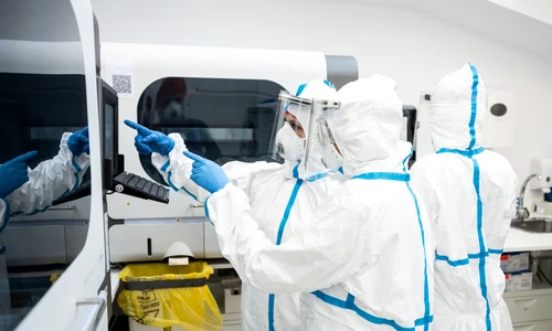 1 regina maria jpg jpeg