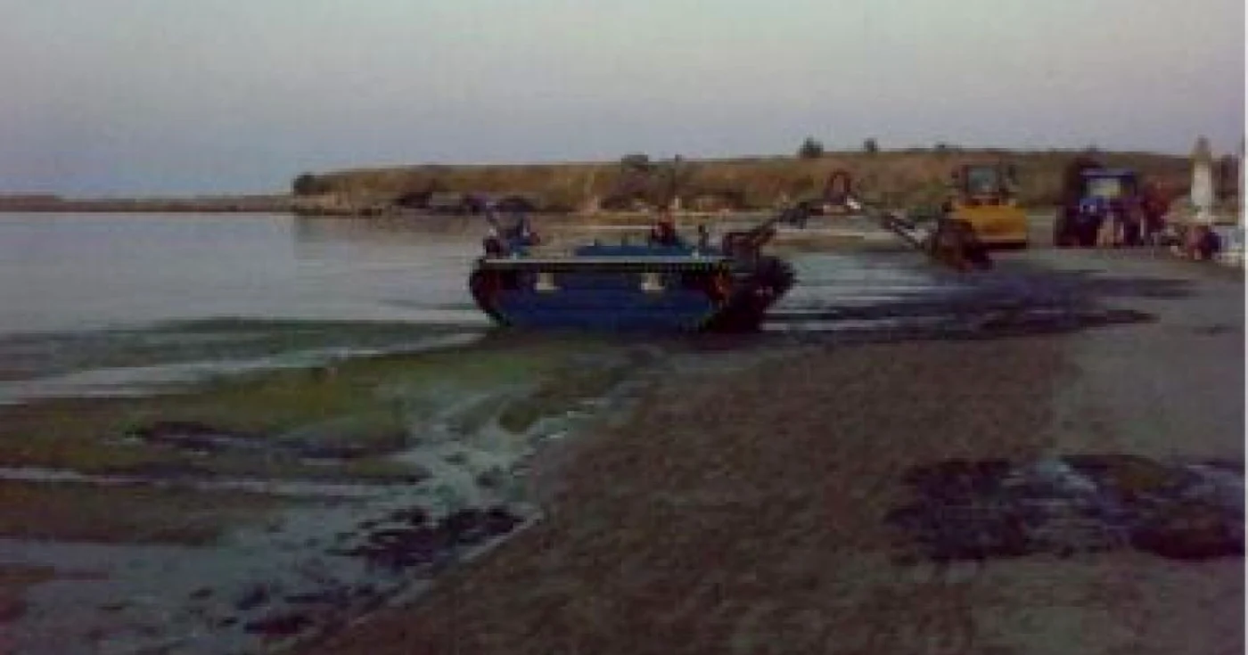 Constanta: Plajele sunt sufocate de alge