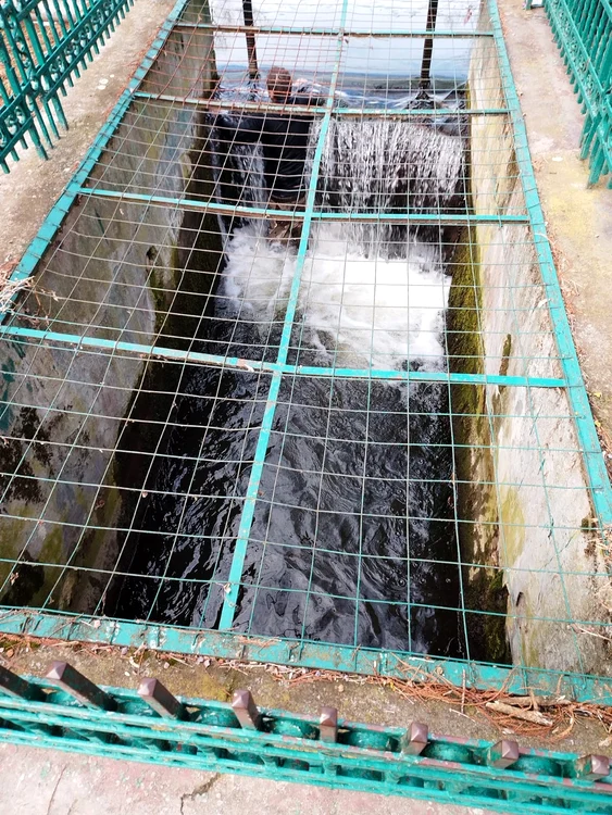 Pompierul a intrat în canalul de deversare pentru a-l scoate pe bărbatul căzut FOTO: IJJ Olt/Fb 