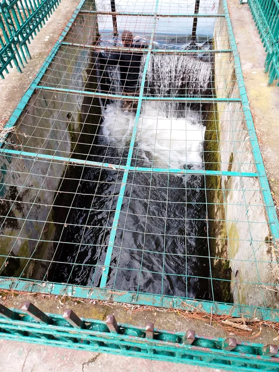 Pompierul a intrat în canalul de deversare pentru a-l scoate pe bărbatul căzut FOTO: IJJ Olt/Fb