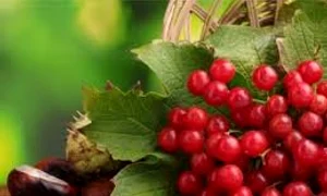 merisorulcilick sanatate ro  jpeg