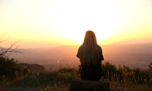 1 pexels photo 247195 jpg jpeg