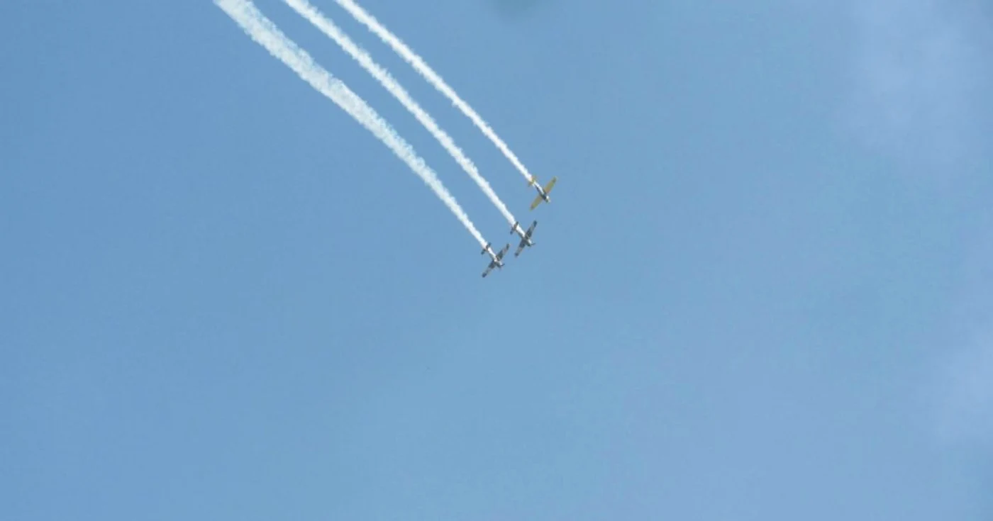Timişoara Air Show 2015 FOTO Ştefan Both