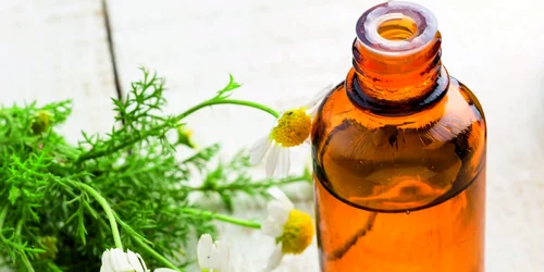 Plantele – speranţă sau amăgire în cancer?