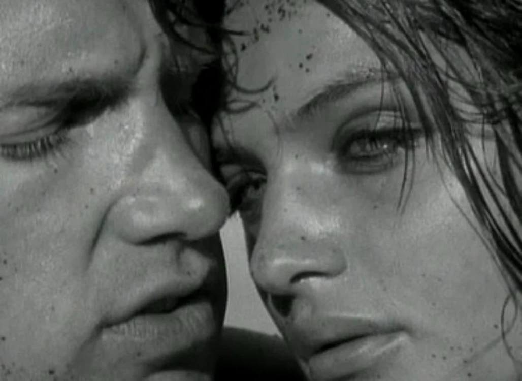 Wicked Game2 jpg