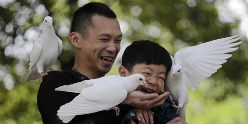 chinezi porumbei foto reuters