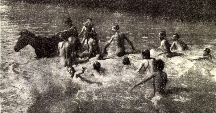 La scăldat în Dâmbovița. Sursa: Dimineața. 1925
