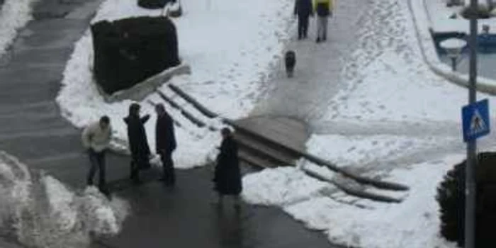Primăvara îşi va intra în drepturi la sfârşitul lunii