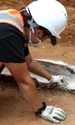 Un cercetător curăță sicriul de plumb din epoca romană descoperit în Colchester, Marea Britanie (© Colchester Archaeological Trust)