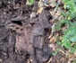 descoperire Sever Iulian Ciolac 2, foto Facebook jpg