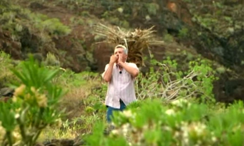 2 fluierator jpg jpeg