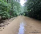 Inundatii pe valea Cernei Foto Daniel Guță (76) jpg