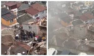 BeFunky collage   2026 03 22T154230 054 jpg