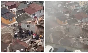 BeFunky collage   2026 03 22T154230 054 jpg