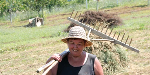Hunedoara: Ţăranii lasă culturile la mila Domnului
