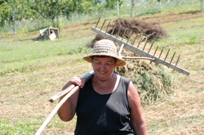 Hunedoara: Ţăranii lasă culturile la mila Domnului