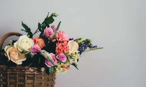 1 85286 original jpg jpeg