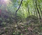 Cetatea dacică Bănița Foto Daniel Guță ADEVĂRUL (34) jpg