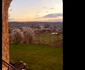 Șușani