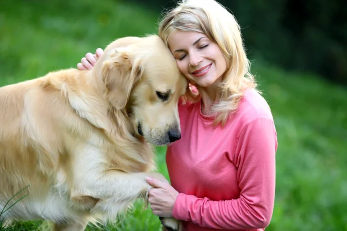 Mai ales câinii labrador sunt folosiţi ca terapeuţi necuvântători FOTO: Shutterstock