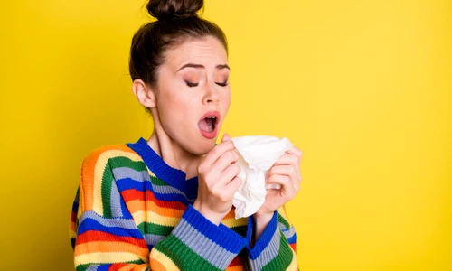 shutterstock 1850626672 jpg