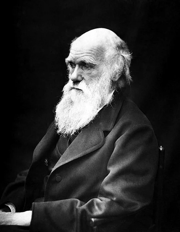 charles darwin 01 1 jpg jpeg