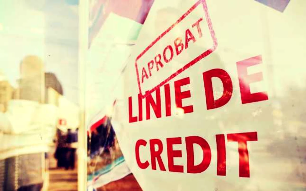 Consiliul Patronatelor Bancare din România arată că beneficiarii reali ai acestei legi se vor dovedi a fi mai curând dezvoltatorii imobiliari, având în vedere faptul că persoanele fizice aflate în dificultăţi de a plăti creditul de casă consideră părăsirea casei drept ultima opţiune