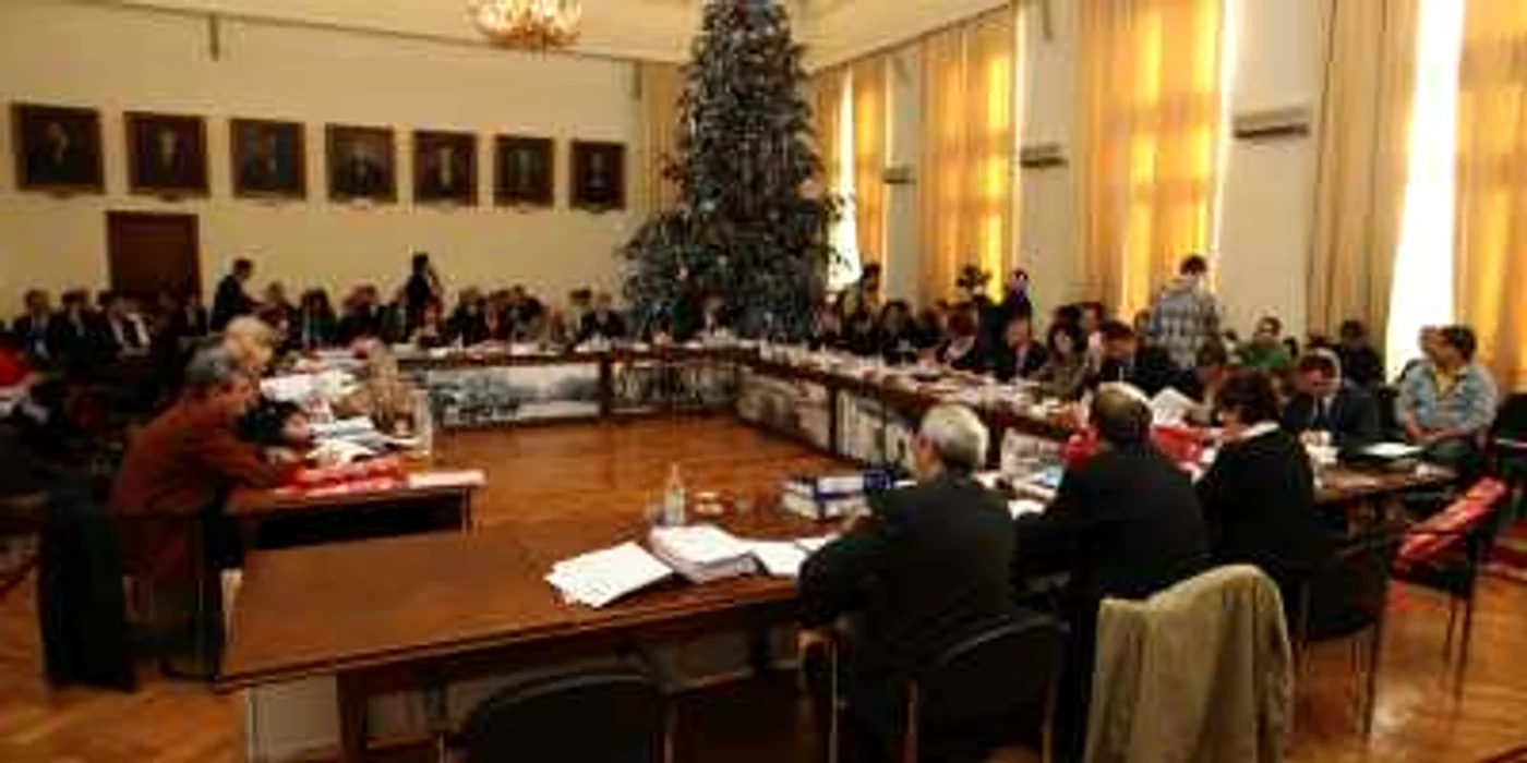 În Sala Mare de şedinţe, nu va lipsi bradul de Crăciun nici anul acesta