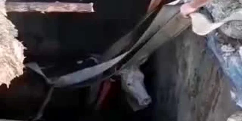 5e1ebf855163ec4271217240 jpg