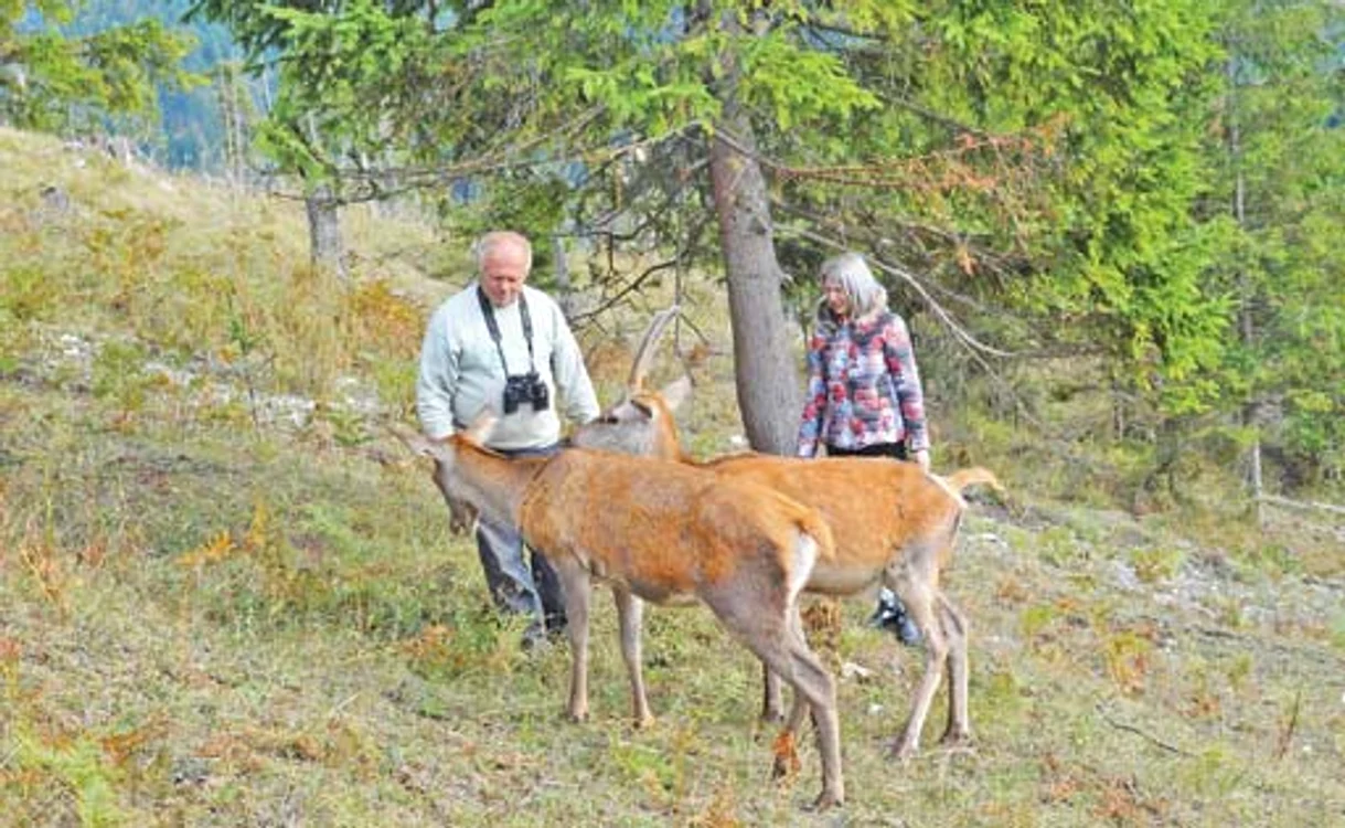 
    Pui de om şi  pui de căprioară  