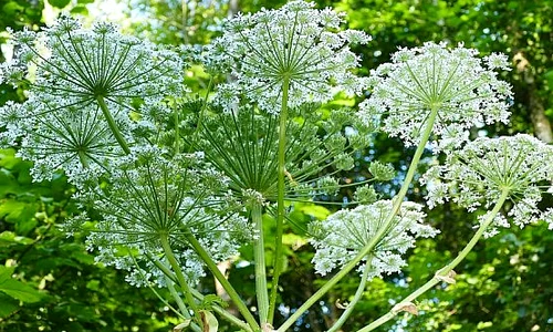 1 screen shot 2019 10 08 at 11 34 13 png png