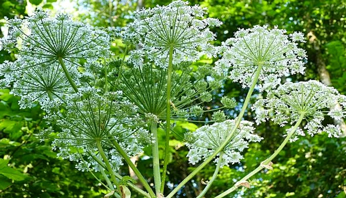 1 screen shot 2019 10 08 at 11 34 13 png png