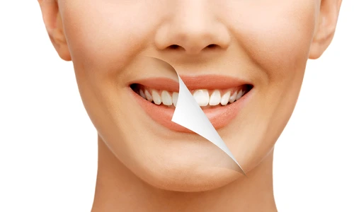 1 shutterstock 269613158 jpg jpeg