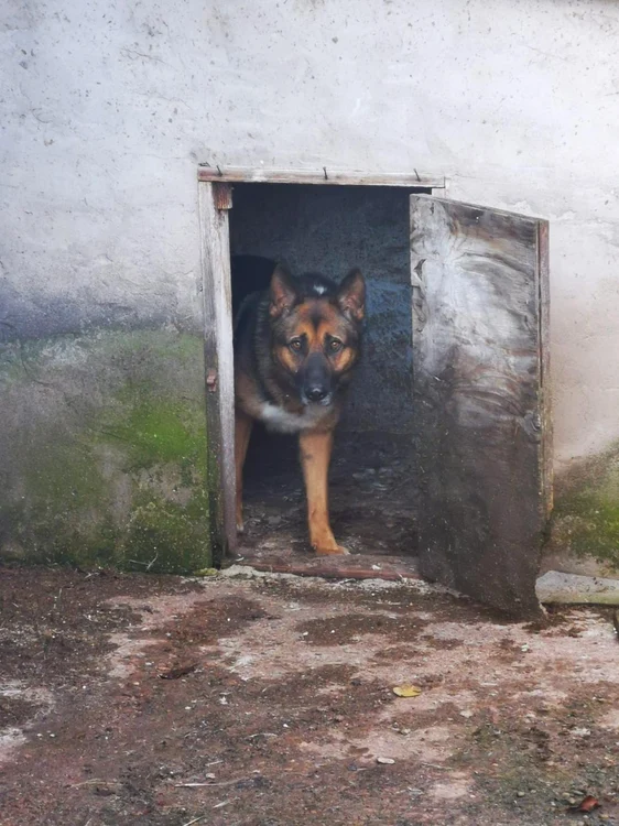Foto Arhivă