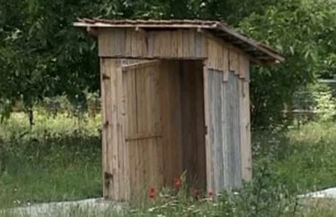 Nou născuţii au fost aruncaţi în WC