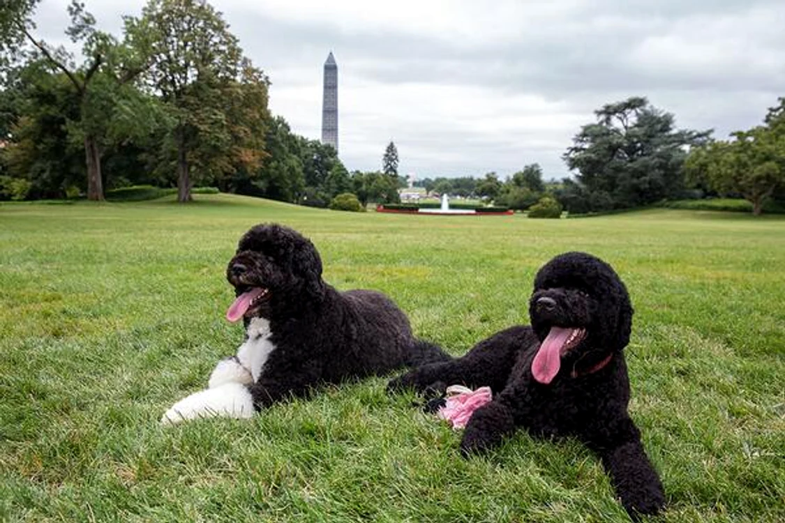 caine obama 2 jpeg