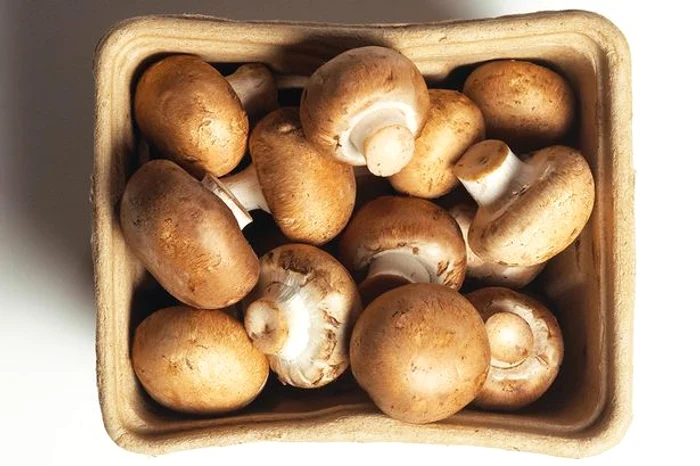 Ciuperciile conțin potasiu, cupru, fier, fosfor și seleniu, esențiale organismului