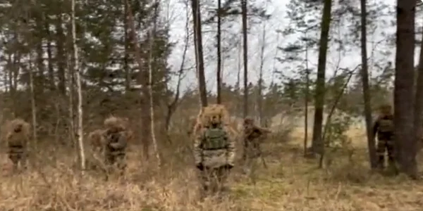 ucraina camuflaj png
