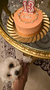 55544808 c0a5 4f1c acaf 099e6e967f3a JPG